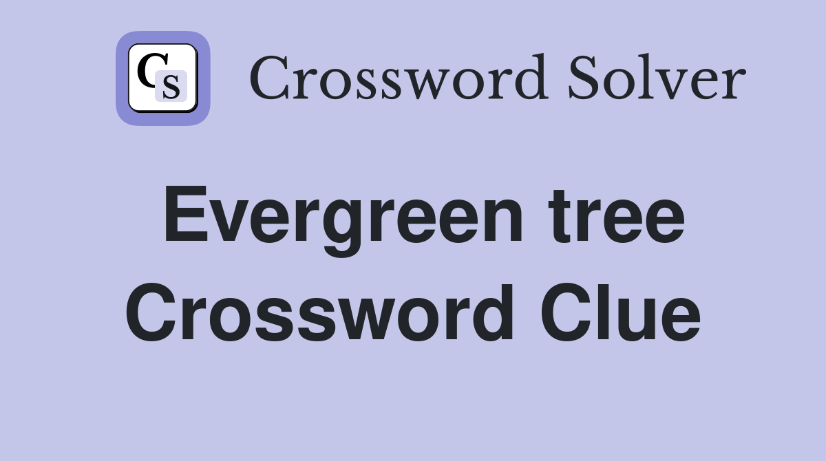 Evergreen tree Crossword Clue Answers Crossword Solver